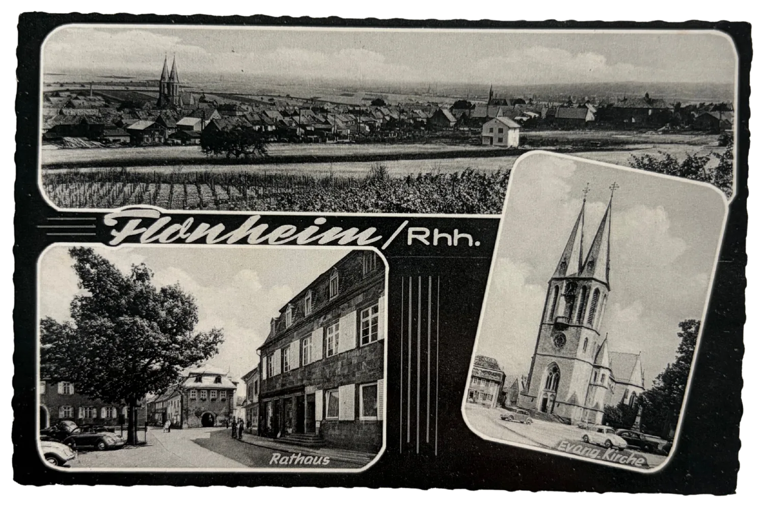 Vineyards in Rheinhessen